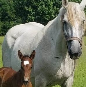 Meet your Posher, Tia